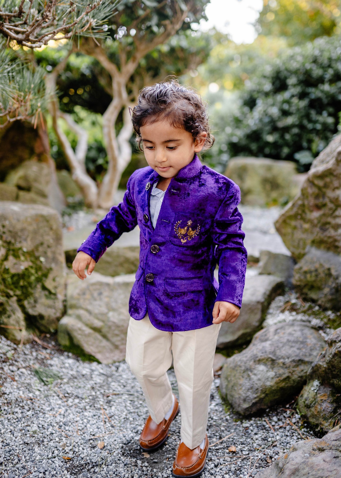Zorawar Regal Purple Blazer Set